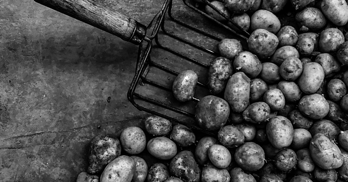 Relaying Potatoes: Another Unexpected Privilege Escalation Vulnerability in Windows RPC Protocol